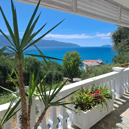 69 - Jonufer 3* Kanine