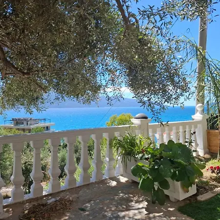 69 - Jonufer 3* Kanine